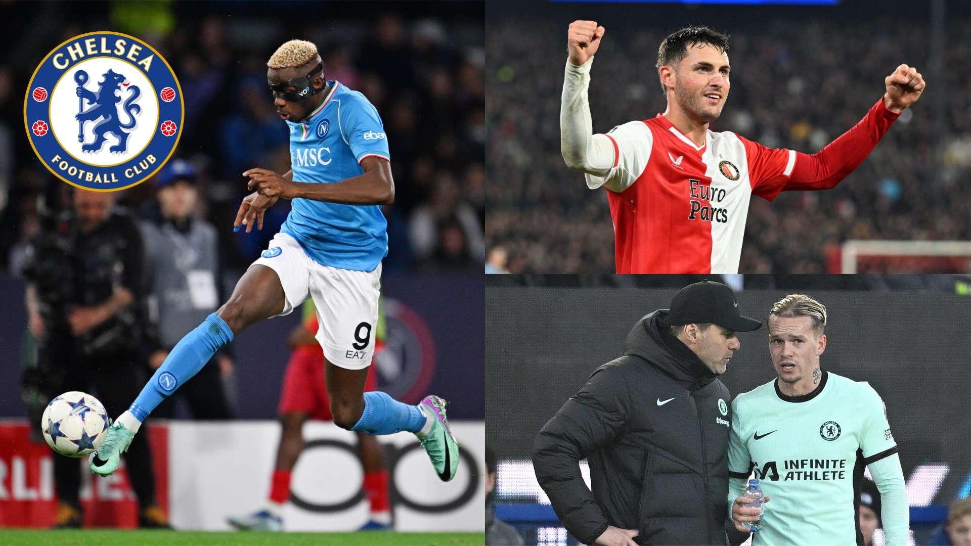 構的設立 構的設立